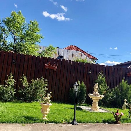 Hotel Casa Alexia Haţeg Exteriér fotografie
