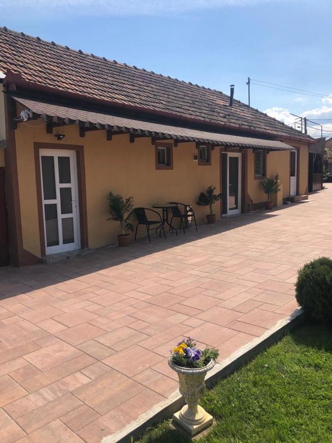 Hotel Casa Alexia Haţeg Exteriér fotografie