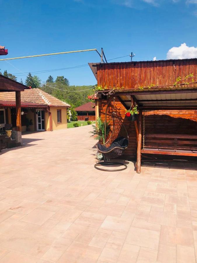 Hotel Casa Alexia Haţeg Exteriér fotografie