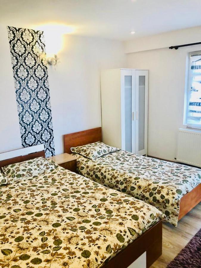 Hotel Casa Alexia Haţeg Exteriér fotografie