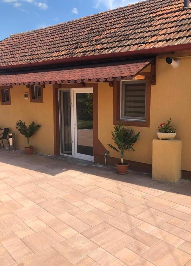 Hotel Casa Alexia Haţeg Exteriér fotografie