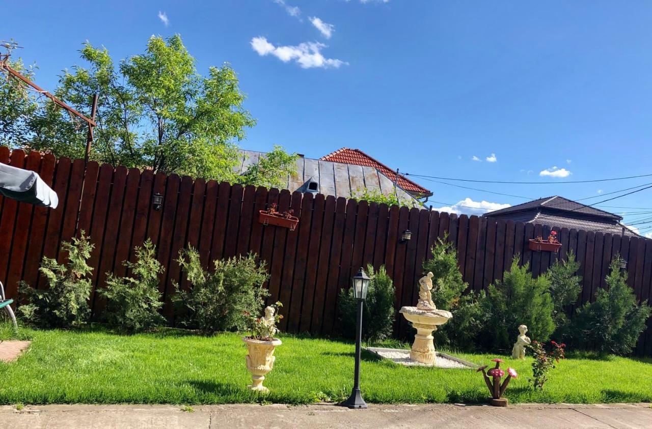 Hotel Casa Alexia Haţeg Exteriér fotografie